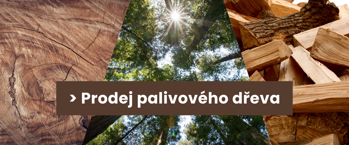 palivove-drevo-informace-vyplati-se-topeni-drevem-dotace-kotle-levne (3)